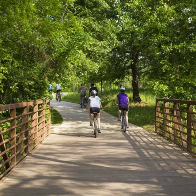 A group of people riding bikes on a bridge in a wooded area.