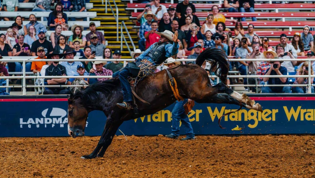 A man riding a horse at a rodeo.