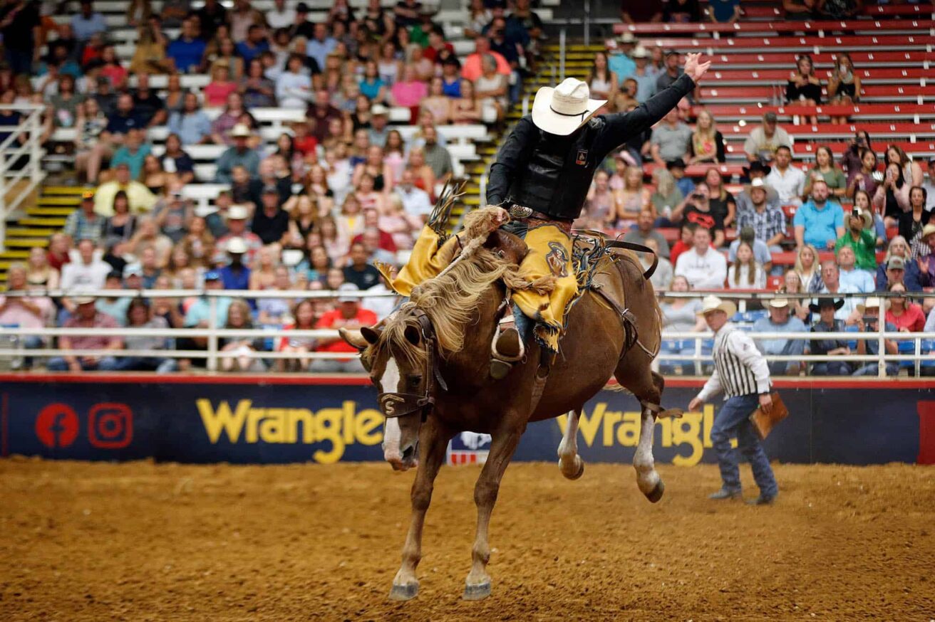 A man riding a horse in a rodeo.