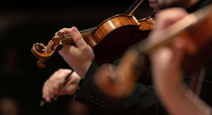 A close up of a person playing a violin.