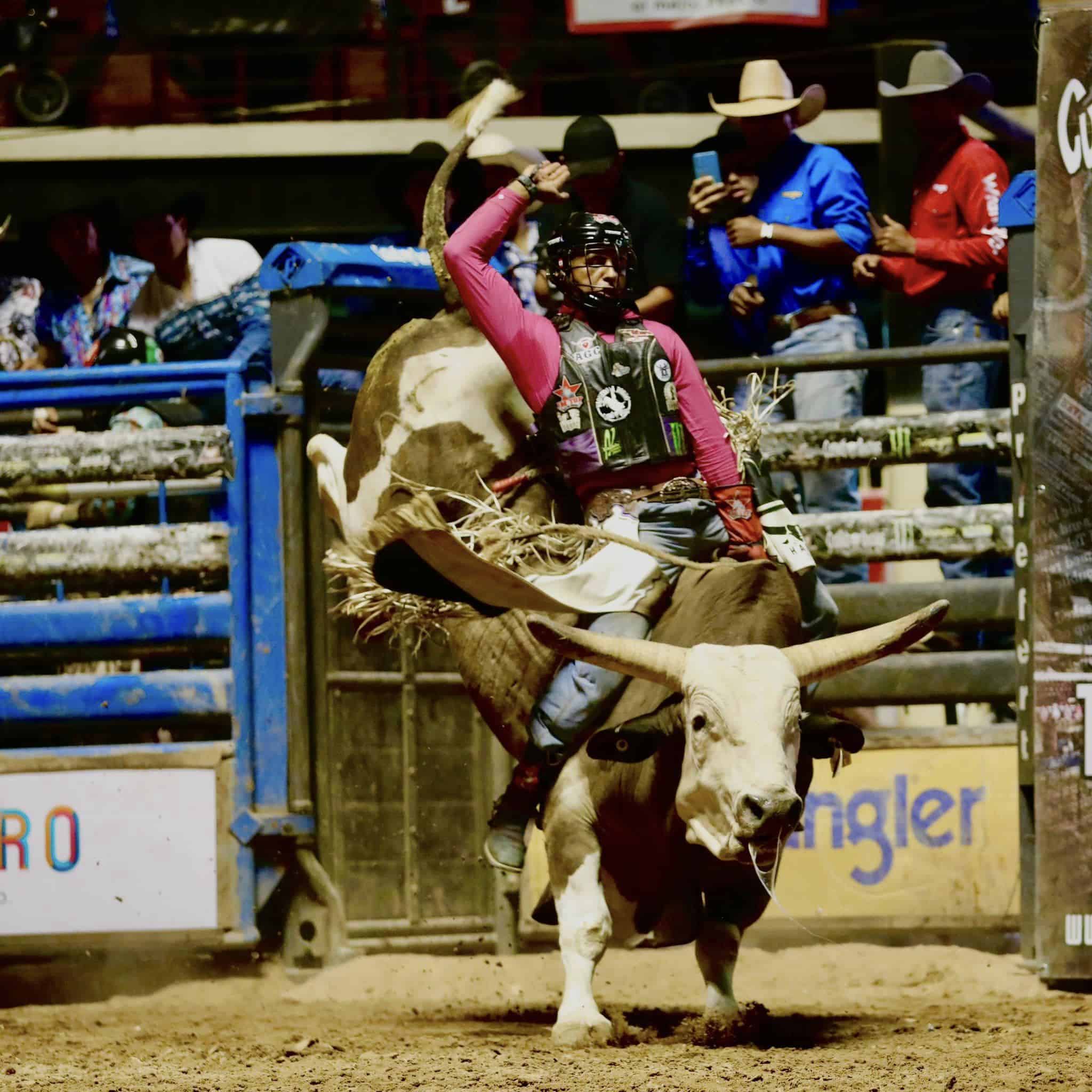 A rodeo rider in action, gripping onto a bucking bull with one hand in the air, surrounded by spectators in the background.