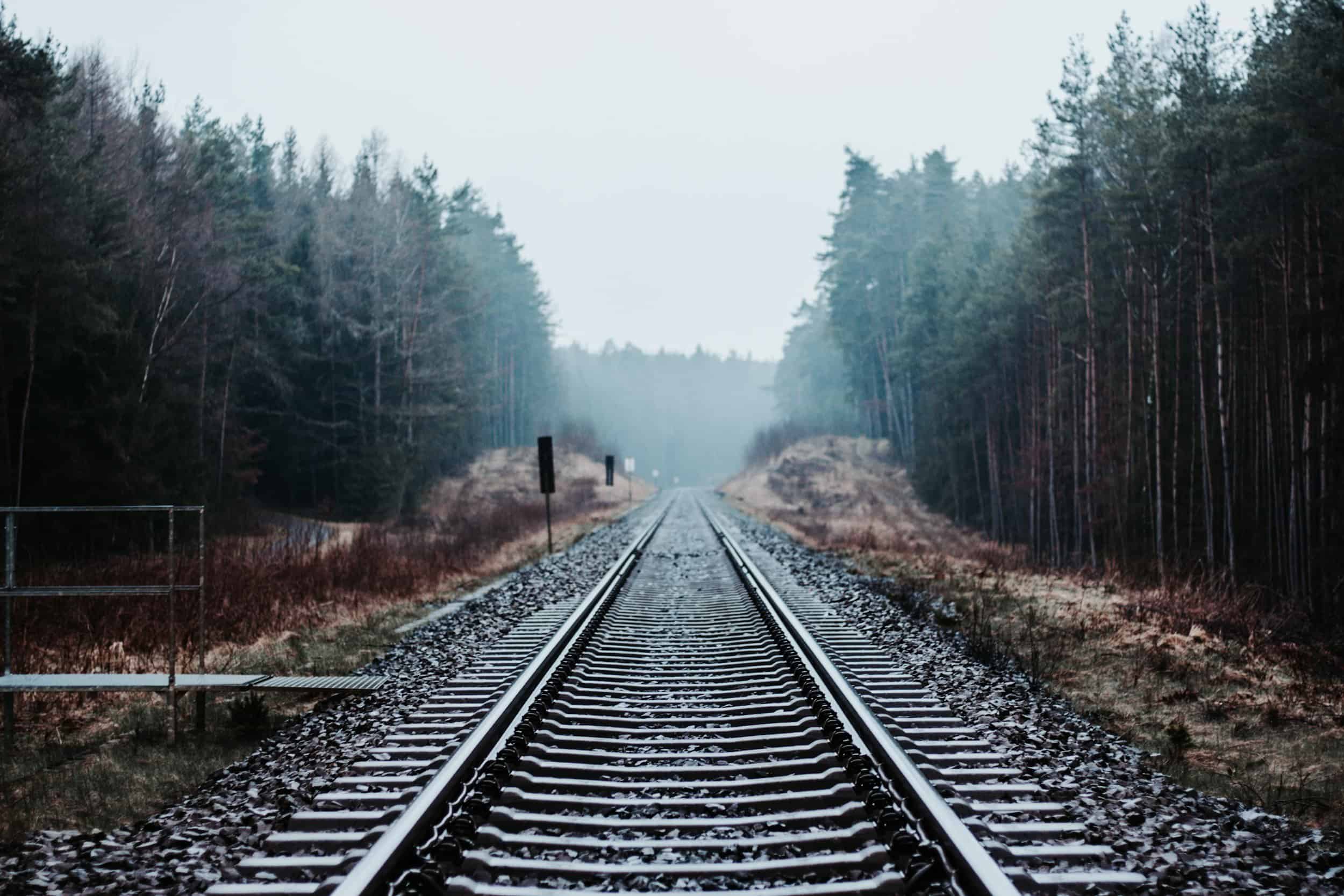 Railway tracks extend straight through a misty forest landscape, with trees lining both sides and a cloudy sky above.